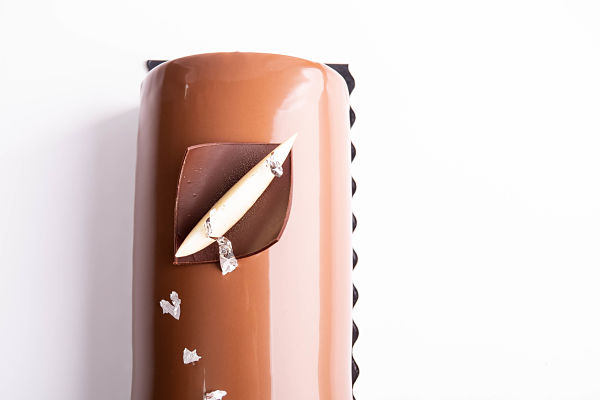 Apple Chocolate Entremet