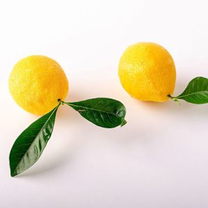 The Lemon by Cedric Grolet