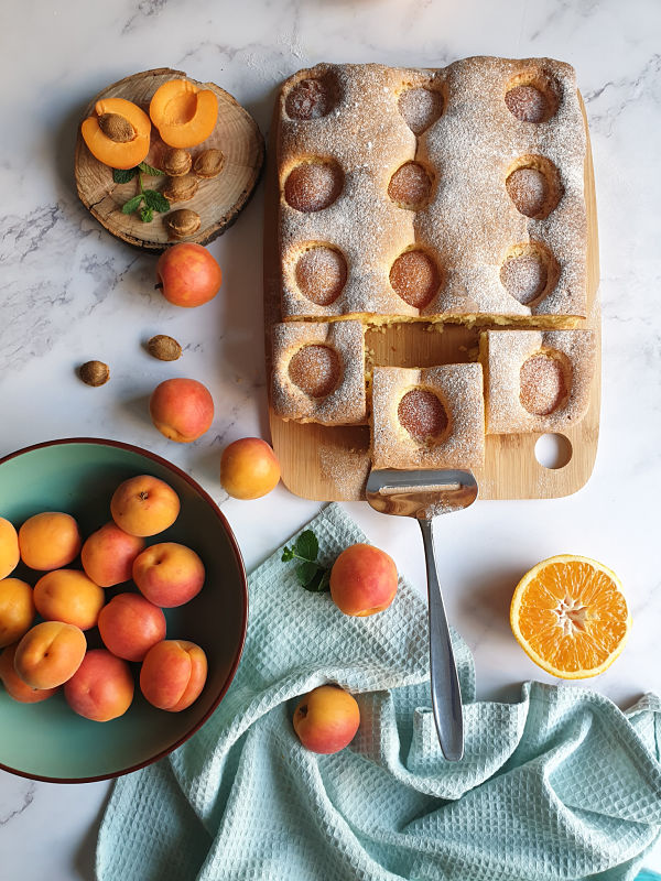 Squares of apricot sponge cake